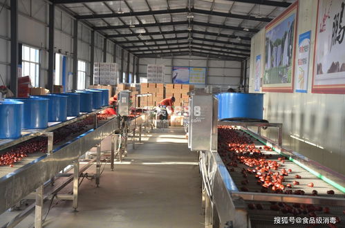 食品廠車間霉菌消毒 炒貨食品及堅果制品霉菌超標的關鍵解決路徑