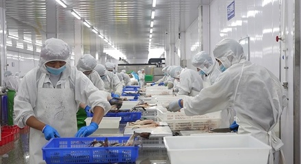 曹縣 開足馬力忙生產，食品產業煥發新活力